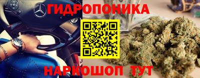 мдпв Свободный