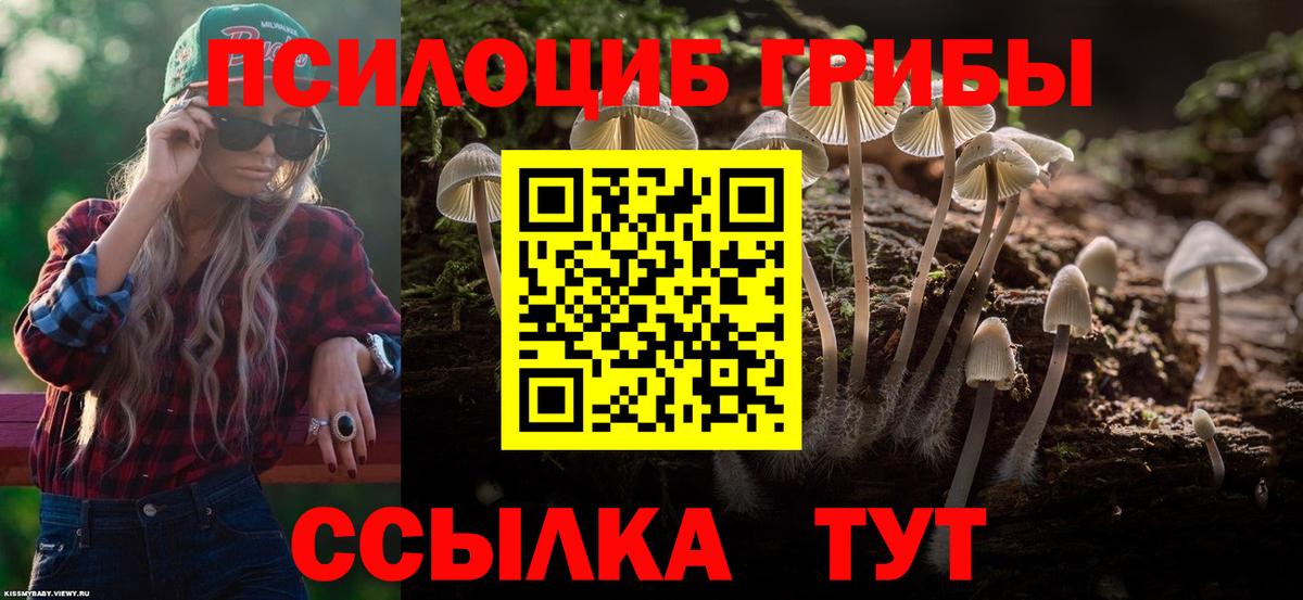 Галлюциногенные грибы Magic Shrooms Оренбург